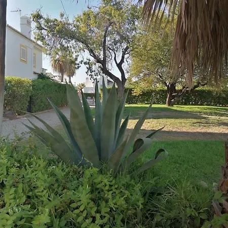 Aparthotel Algarent Quinta Velha Cosy 214